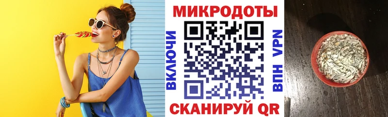 Купить где  Борисоглебск  Псилоцибиновые грибы Psilocybe 